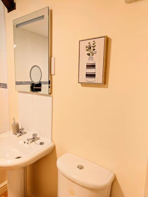 Cosy Central Modern Apartment نانتويتش المظهر الخارجي الصورة