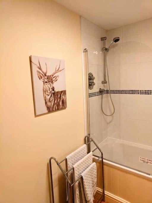 Cosy Central Modern Apartment نانتويتش المظهر الخارجي الصورة